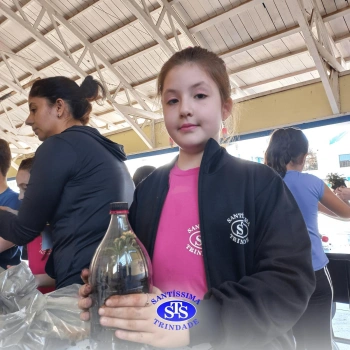 Confecção de terrários | 3º ano 