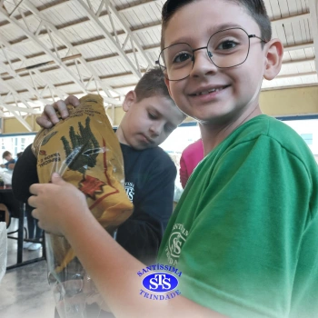 Confecção de terrários | 3º ano 