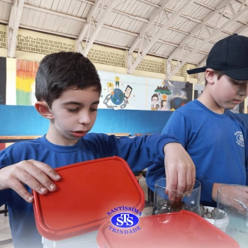 Confecção de terrários | 3º ano 
