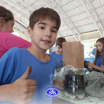 Confecção de terrários | 3º ano 