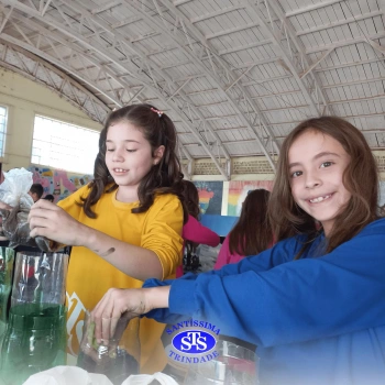 Confecção de terrários | 3º ano 