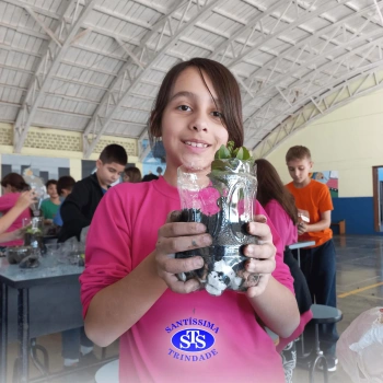 Confecção de terrários | 3º ano 