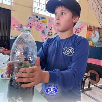 Confecção de terrários | 3º ano 