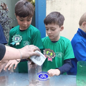 Confecção de terrários | 3º ano 