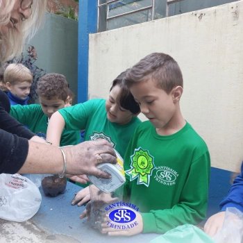 Confecção de terrários | 3º ano 