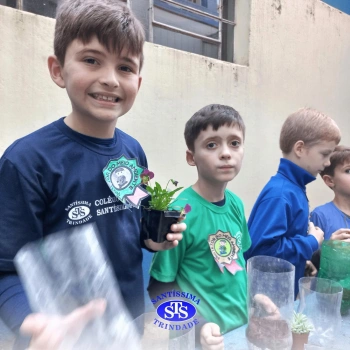Confecção de terrários | 3º ano 