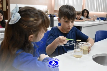 Alunos fazem atividade prática para estudar as misturas | 4º ano