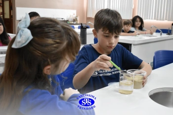 Alunos fazem atividade prática para estudar as misturas | 4º ano