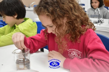 Alunos fazem atividade prática para estudar as misturas | 4º ano
