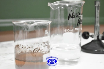 Alunos fazem atividade prática para estudar as misturas | 4º ano