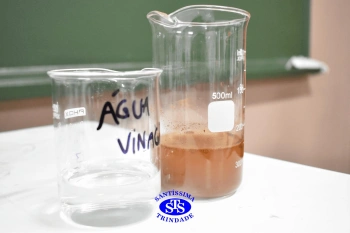 Alunos fazem atividade prática para estudar as misturas | 4º ano