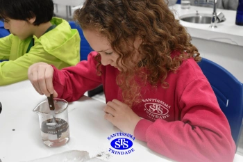 Alunos fazem atividade prática para estudar as misturas | 4º ano
