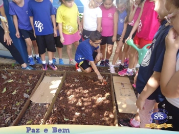2º ano - Projeto Feijão