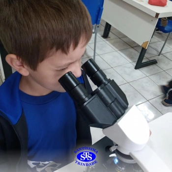 2º ano | Prática no Laboratório de Ciências