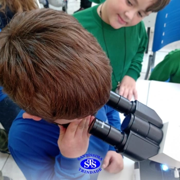 2º ano | Prática no Laboratório de Ciências