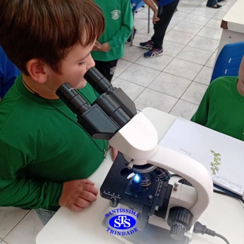 2º ano | Prática no Laboratório de Ciências