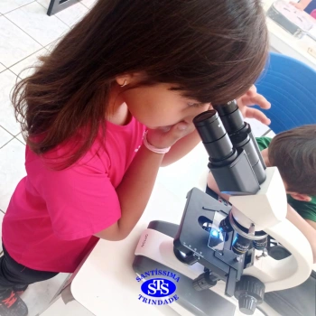 2º ano | Prática no Laboratório de Ciências