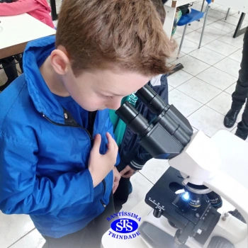 2º ano | Prática no Laboratório de Ciências