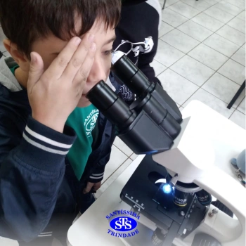2º ano | Prática no Laboratório de Ciências