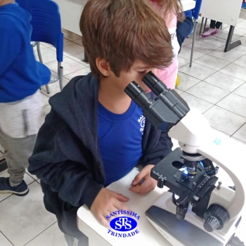 2º ano | Prática no Laboratório de Ciências