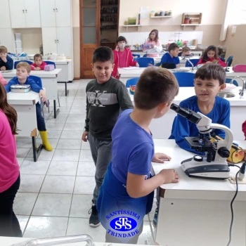 2º ano | Prática no Laboratório de Ciências