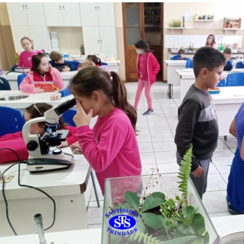 2º ano | Prática no Laboratório de Ciências
