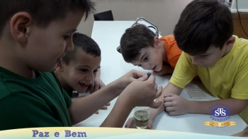 2º ano - Laboratório de Ciências