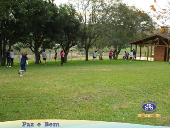 4º ano - Parque Franciscano STS