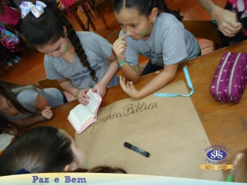 4º ano - Parque Franciscano STS