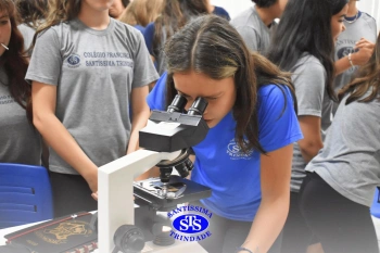 Alunos estudam as células no Laboratório de Ciências | 7º ano