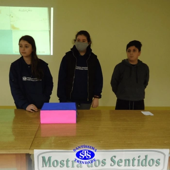 6º ano | Mostra dos Sentidos