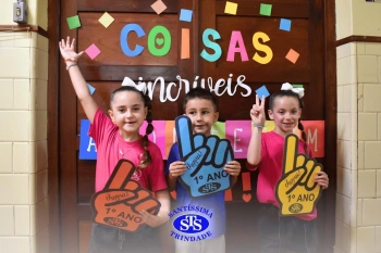 1º ano STS: um ano para toda a vida