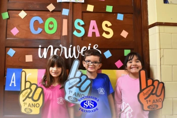 1º ano STS: um ano para toda a vida