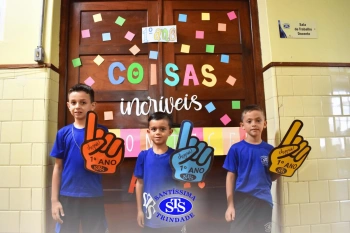1º ano STS: um ano para toda a vida