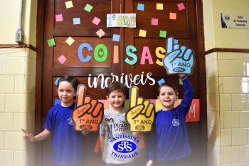 1º ano STS: um ano para toda a vida