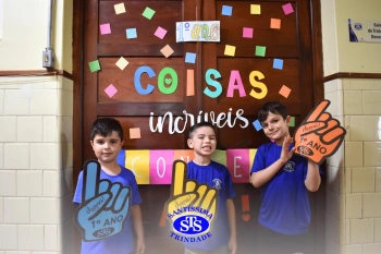 1º ano STS: um ano para toda a vida