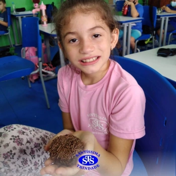 108 anos STS | 3º ano