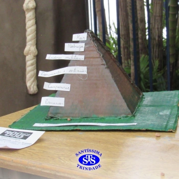 8º ano | Exposição 