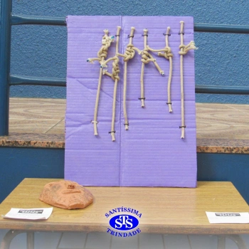 8º ano | Exposição 