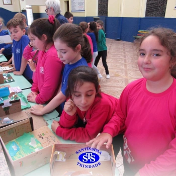 Educação bilíngue: alunos confeccionam habitats para os animais estudados nas aulas