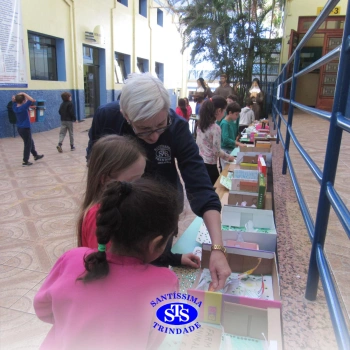 Educação bilíngue: alunos confeccionam habitats para os animais estudados nas aulas