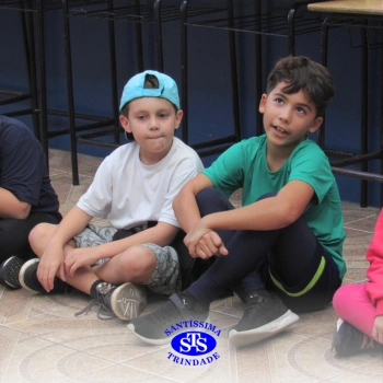 Educação bilíngue: alunos confeccionam habitats para os animais estudados nas aulas