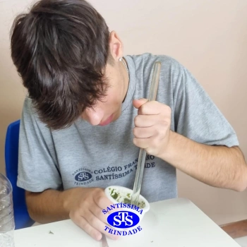 1ª série EM | Práticas de Laboratório