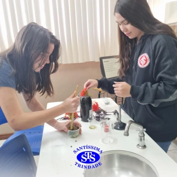1ª série EM | Práticas de Laboratório