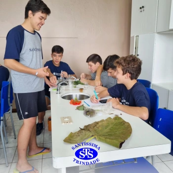 1ª série EM | Práticas de Laboratório
