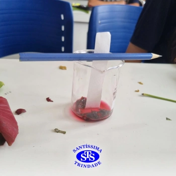 1ª série EM | Práticas de Laboratório