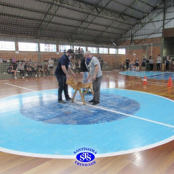 Integração, superação e alegria na Gincana Cultural do Ensino Médio 