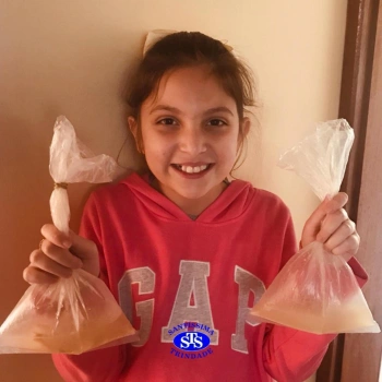 5º ano | Dentes para quê? 