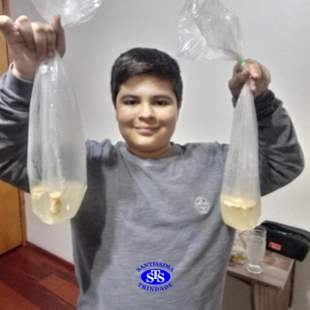 5º ano | Dentes para quê? 