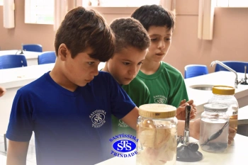 Alunos observam animais e suas características no Laboratório de Ciências